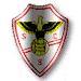 SC Salgueiros (Am) Wappen