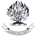 Institute FC Wappen