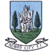 Newry City (Jug) Wappen