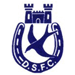 Dungannon Swifts Wappen