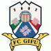 FC Gifu Wappen
