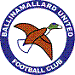 Ballinamallard United Wappen