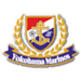 Yokohama Marinos Wappen